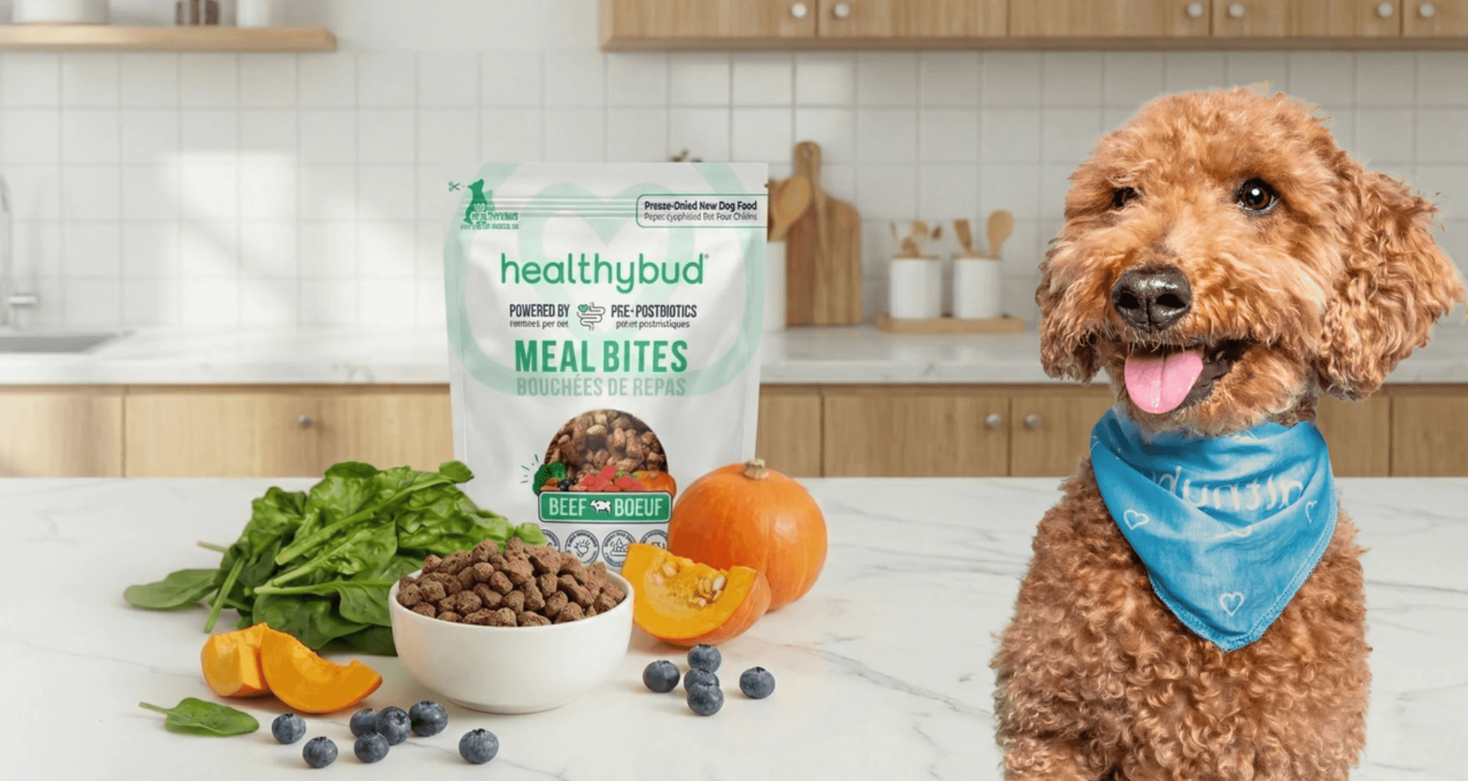 Healthybud case study cover